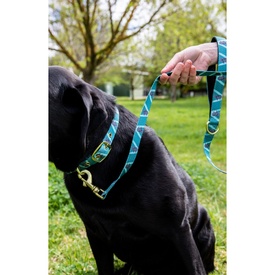 Anipal Kylo The Koala Brass & 100% Recycled Dog Leash image 0