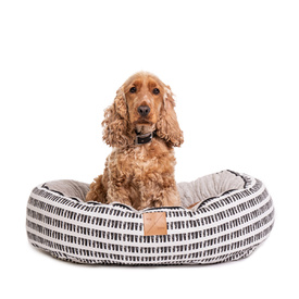 Mog & Bone 4 Seasons Reversible Dog Bed - Black & White Mosaic image 0