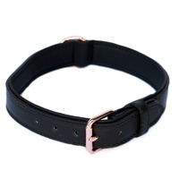 Zippy Paws Leather Dog Collar with Rose Gold Buckle - Black image 0