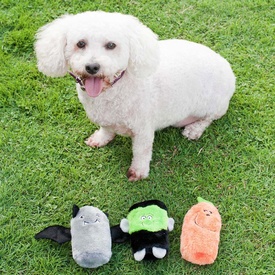 Zippy Paws Halloween Squeakie Buddie Dog Toys 3-pack - Frankenstein, Pumpkin & Bat image 0