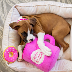Zippy Paws Burrow Interactive Dog Toy - Coffee and Donutz with 3 Squeaky Donuts image 0