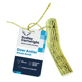 Dudley Cartwright Whole Antler Dental Dog Chew - Naturally shed image 0