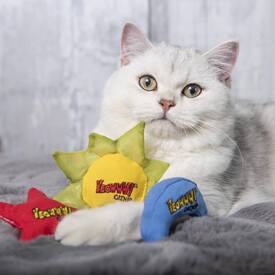 Yeowww! Cat Toys with Pure American Catnip - Sun Moon and Stars image 0
