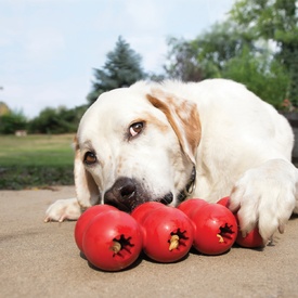 KONG Good Ribbon Treat Hiding and Dispensing Natural Rubber Dog Toy image 0