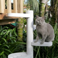 Monkee Tree - The Scalable Cat Climbing Ladder - 2 Step Kit image 0