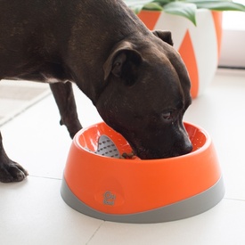 Oh Bowl Slow Food Tongue Cleaning Dog Food Bowl - Orange image 0