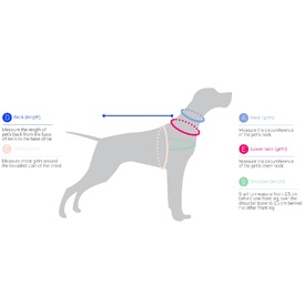 Petsafe 3-in-1 Anti-Pulling Dog Harness and Car Safety Restraint image 0