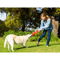 Outward Hound Fire Biterz Tough Squeaker Dog Toy - Red Lizard image 0