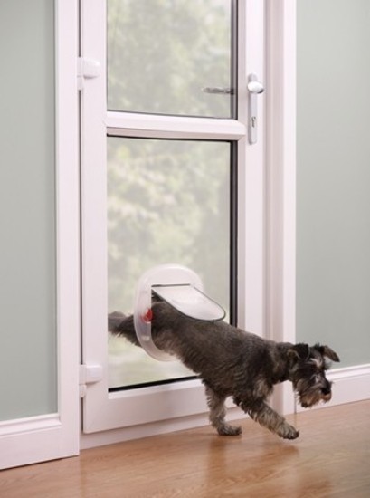 Big cat flap online