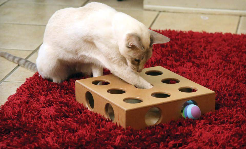 Smart Cat Original Peek-and-Play Interactive Cat Toy Box with Bonus Toys image 1