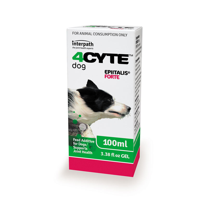 4CYTE Epitalis Forte Gel Oral Joint Supplement for Dogs 50ml/100ml/200ml + Syringe image 1
