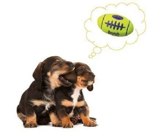 3 x KONG AirDog Squeaker Football Non-Abrasive Fetch Dog Toy - Large image 1