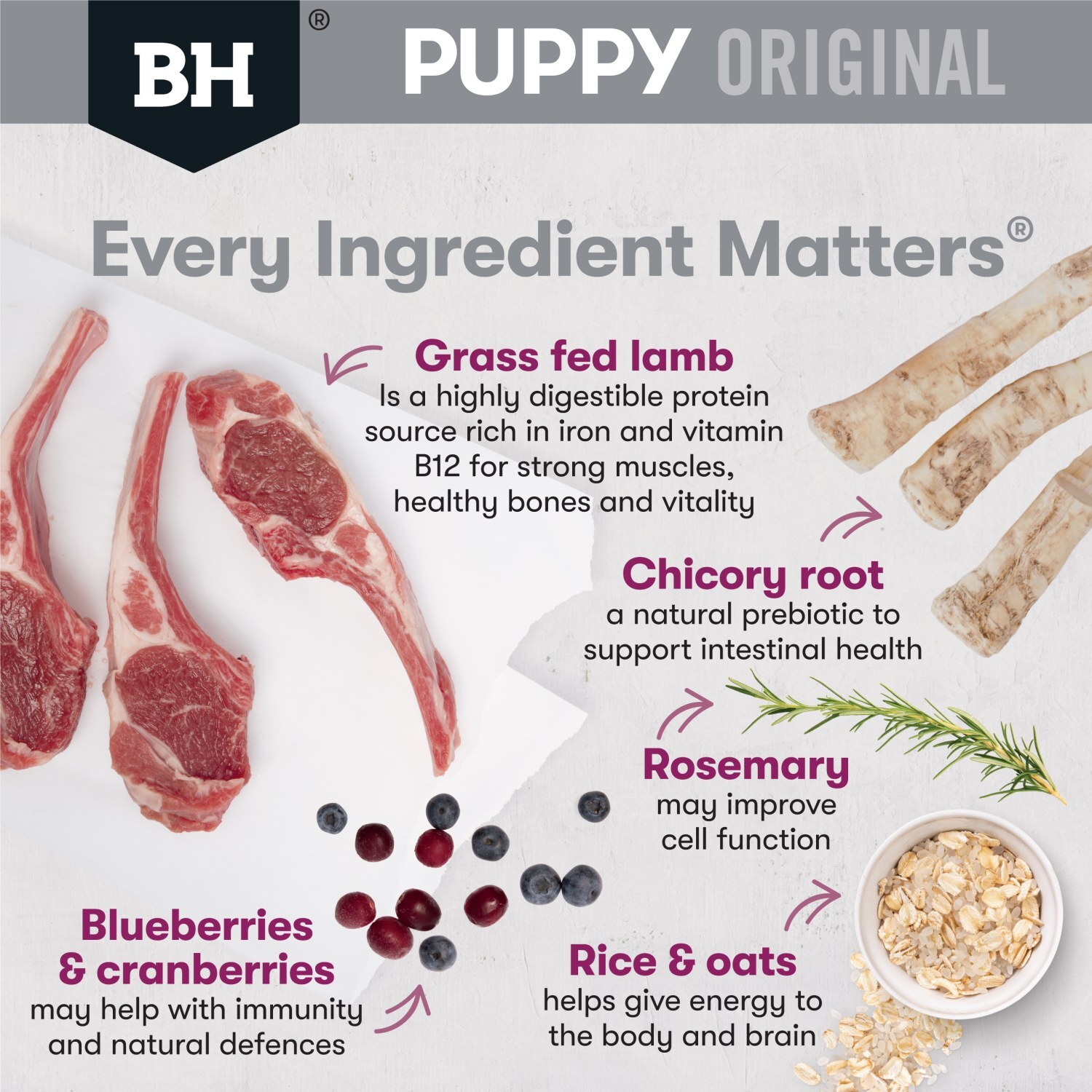 Black Hawk Original Lamb & Rice Puppy Dry Dog Food for Medium Breeds image 1