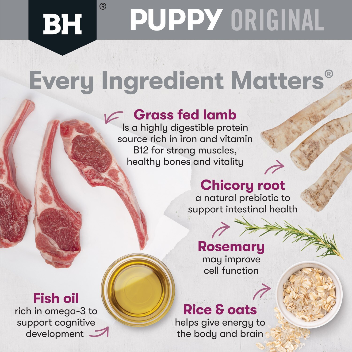 Black Hawk Original Lamb & Rice Puppy Dry Dog Food for Small Breeds image 1