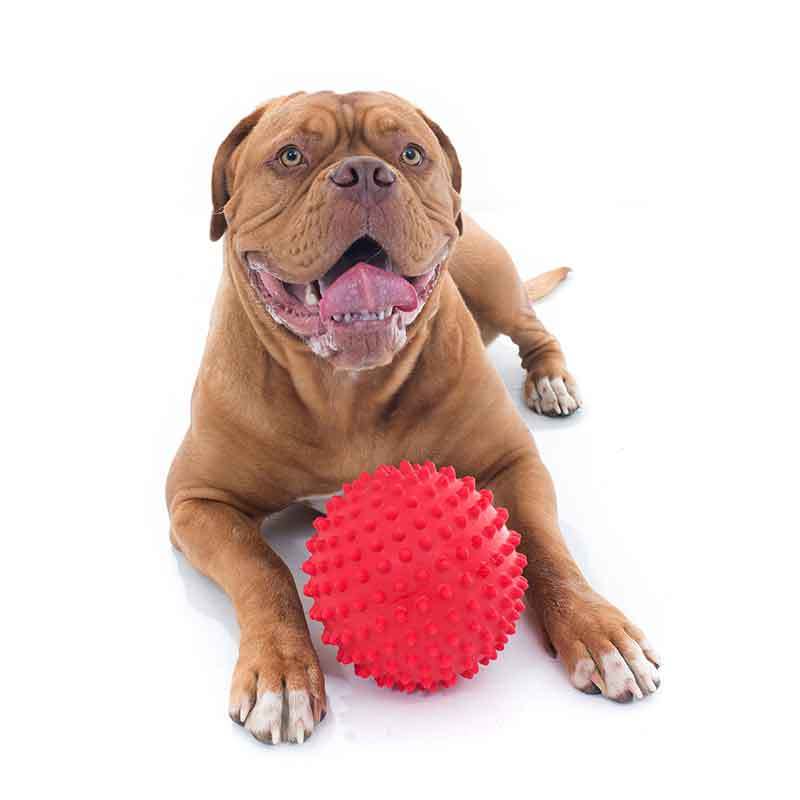 Aussie Dog Mitch Tough Rubber Dog Ball - Hard Red image 1
