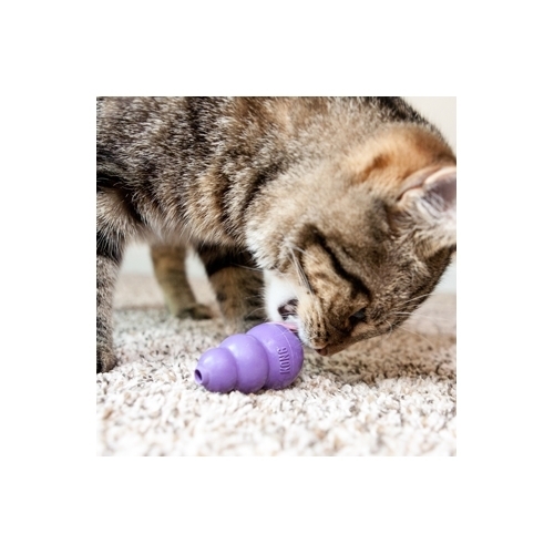 Kitty kong deals