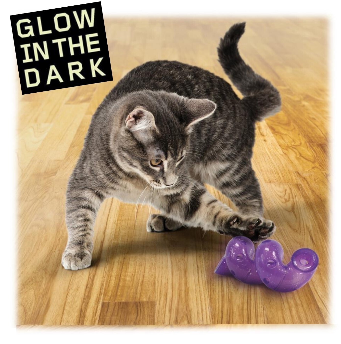 2 x Kong Bat-A-Bout Spiral Roll-Around Glow-in-the-Dark Cat Toy image 1