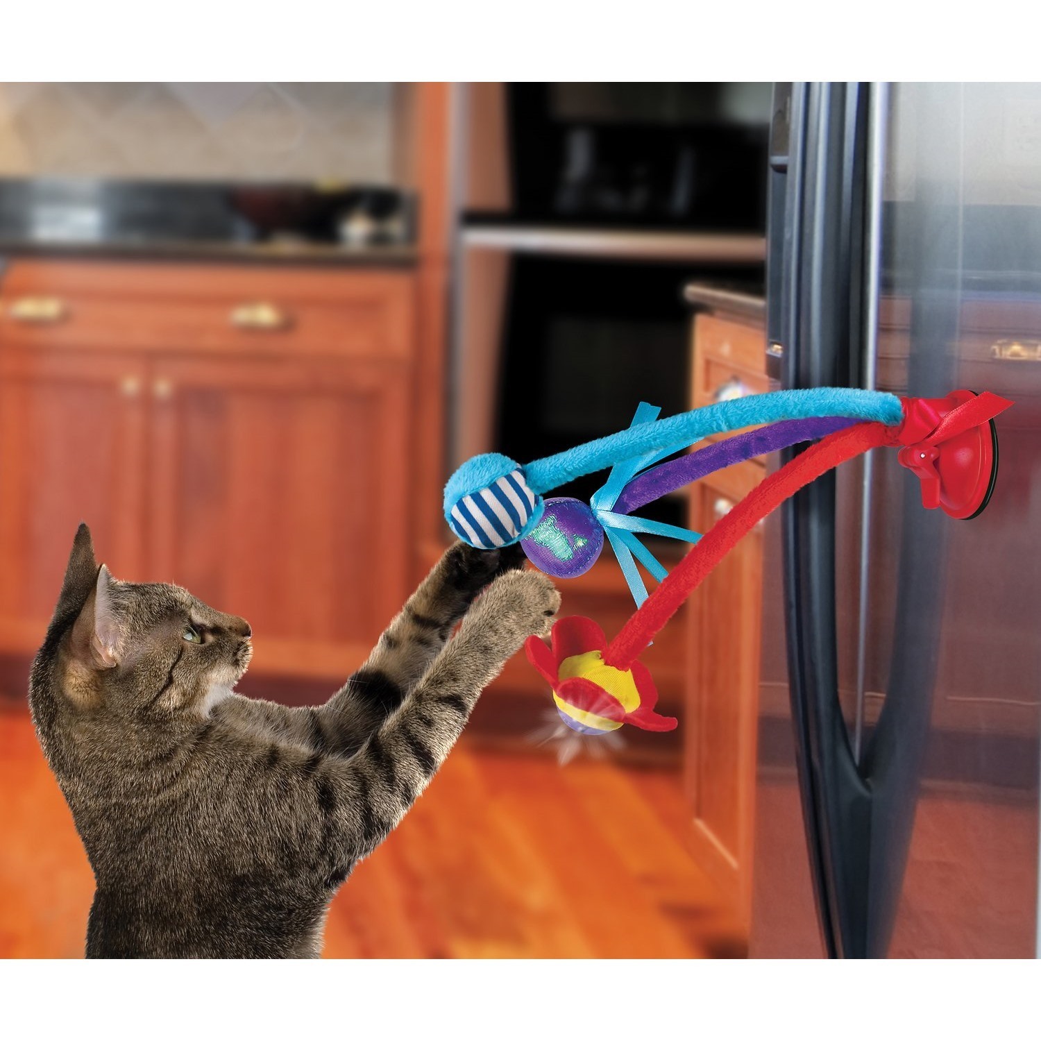 2 x KONG Connects Curlz Interactive Bat Around Cat Toy image 1