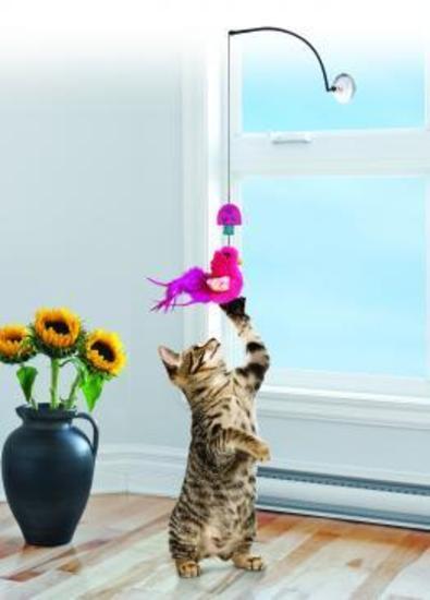 3 x KONG Active Window Teaser Cat Toy image 1