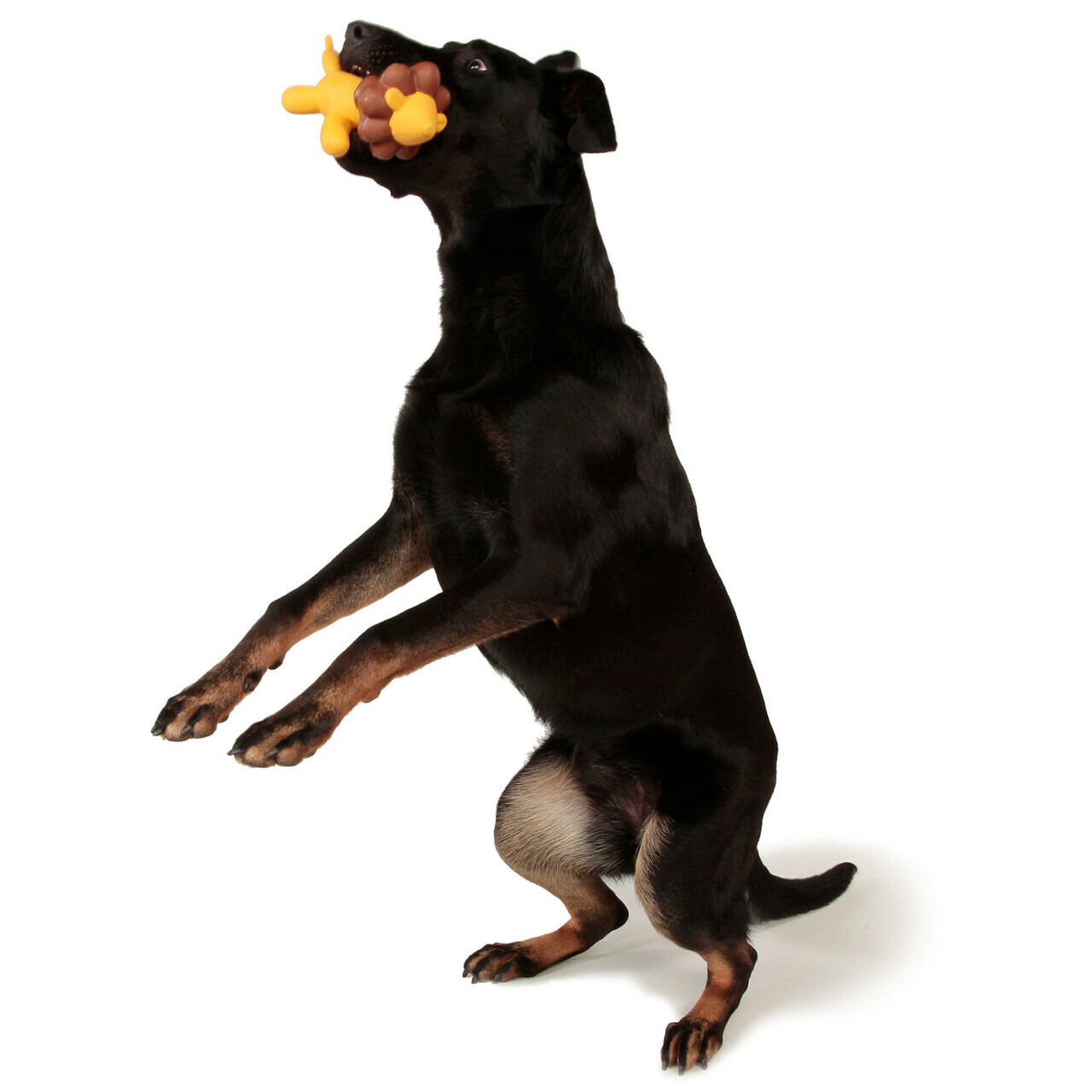 Charming Pet Latex Squeaker Dog Toy - Yellow Balloon Lion - Large image 1