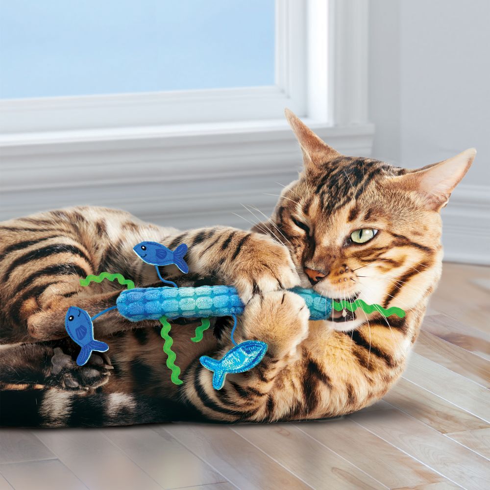 3 x KONG Kickeroo Stickeroo Multi-Sensory Interactive Cat Toy image 1