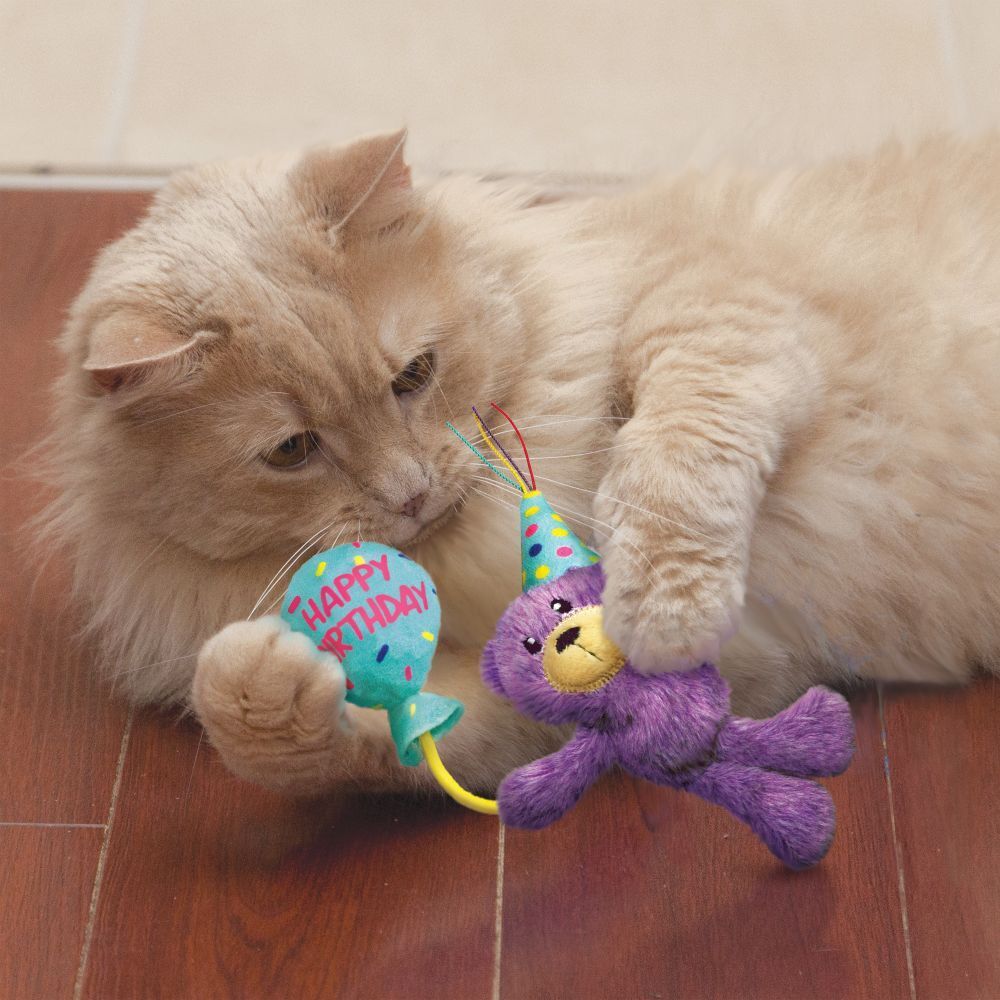 3 x KONG Cat Occasions Birthday Teddy Plush Catnip Cat Toy image 1