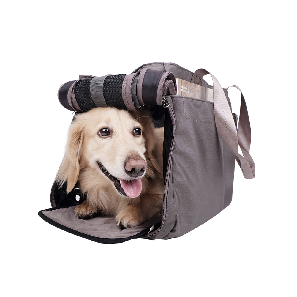 Ibiyaya Canvas Pet Carrier Tote for Cats & Dogs - Grey image 1