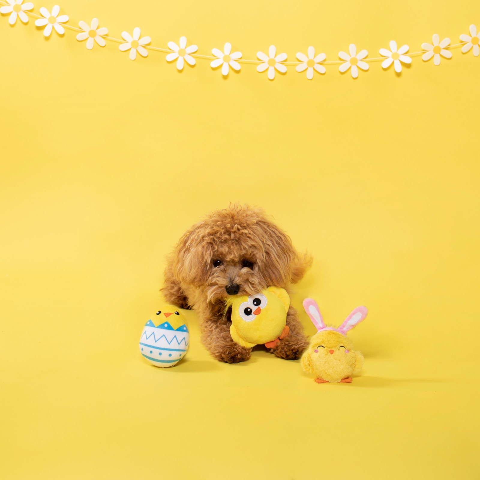 Fringe Studio Minis Easter Chicks 3-Piece Plush Dog Toys image 1