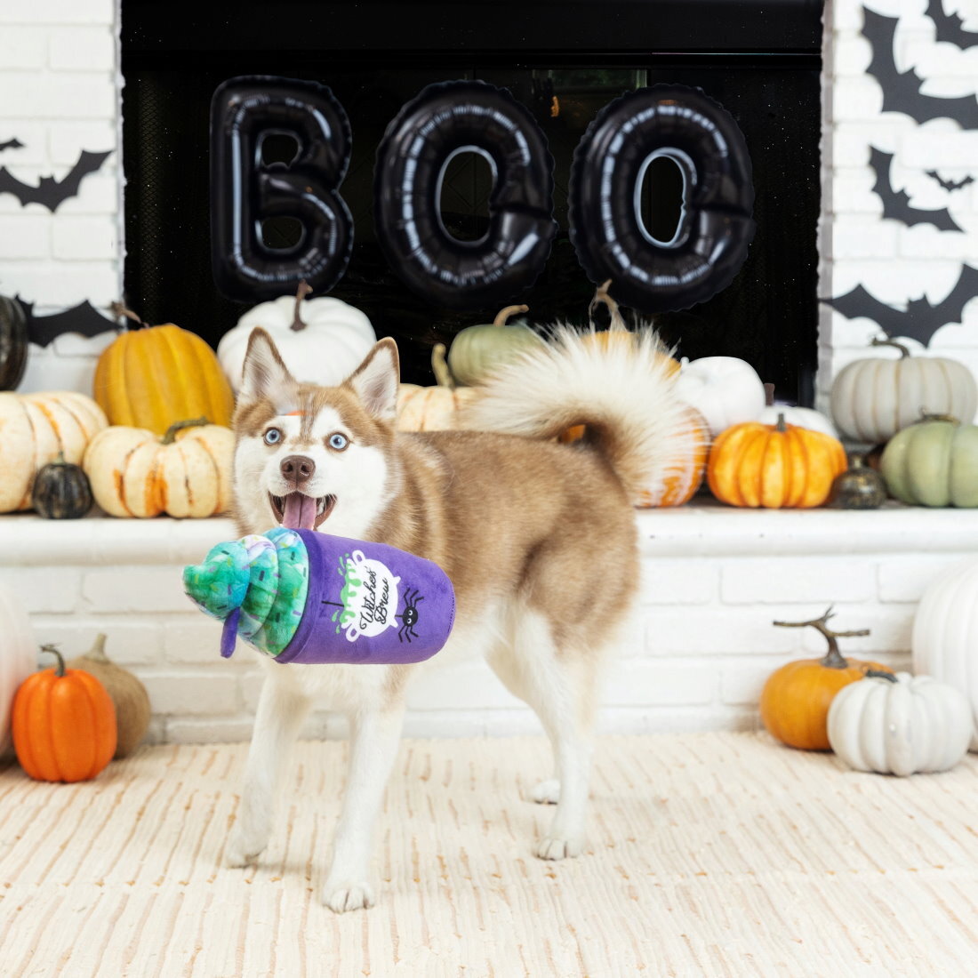 Fringe Studio Halloween Plush Squeaker Dog Toy - Witches Brew image 1