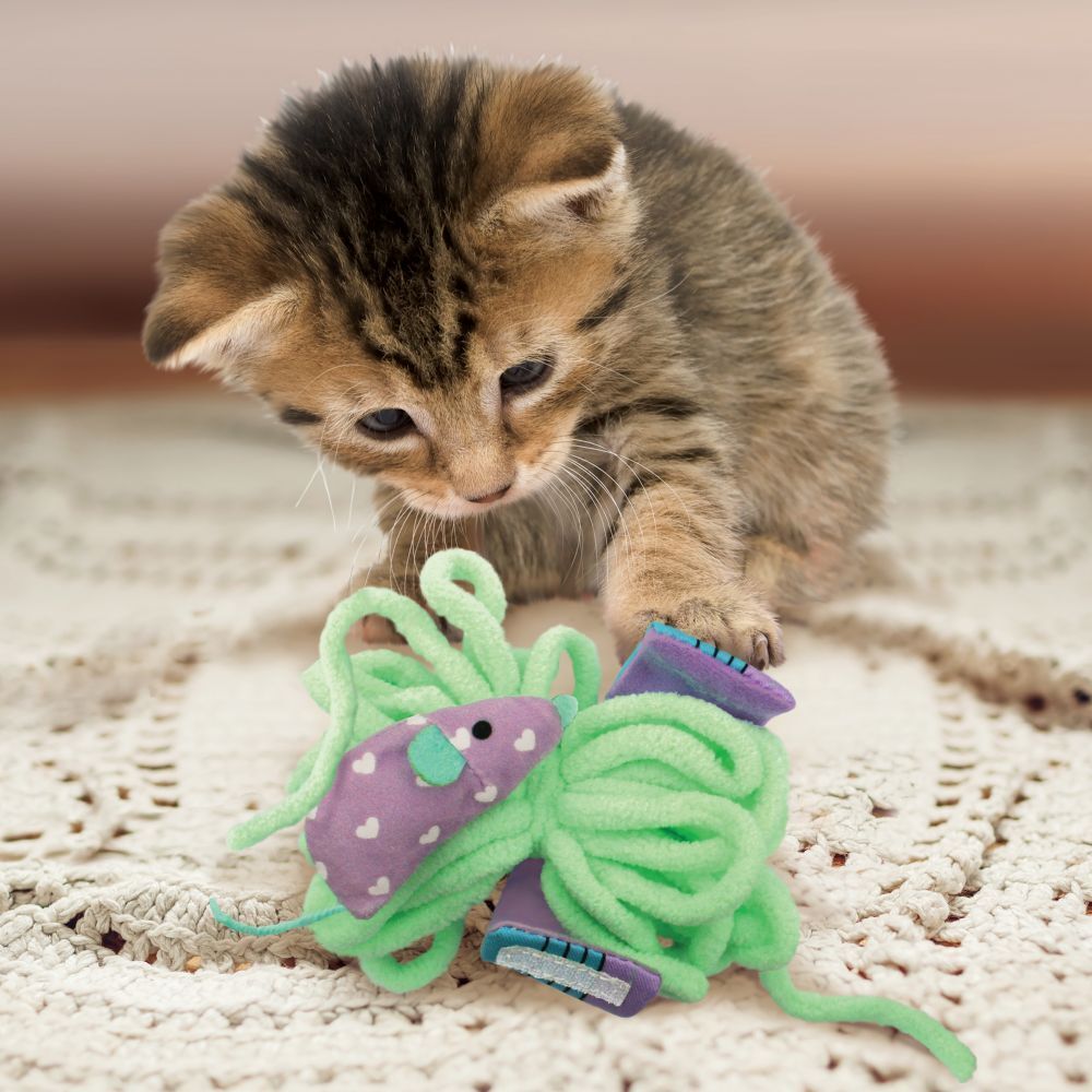 4 x KONG Pull-A-Partz Yarnz Interactive Plush Catnip Cat Toy image 1