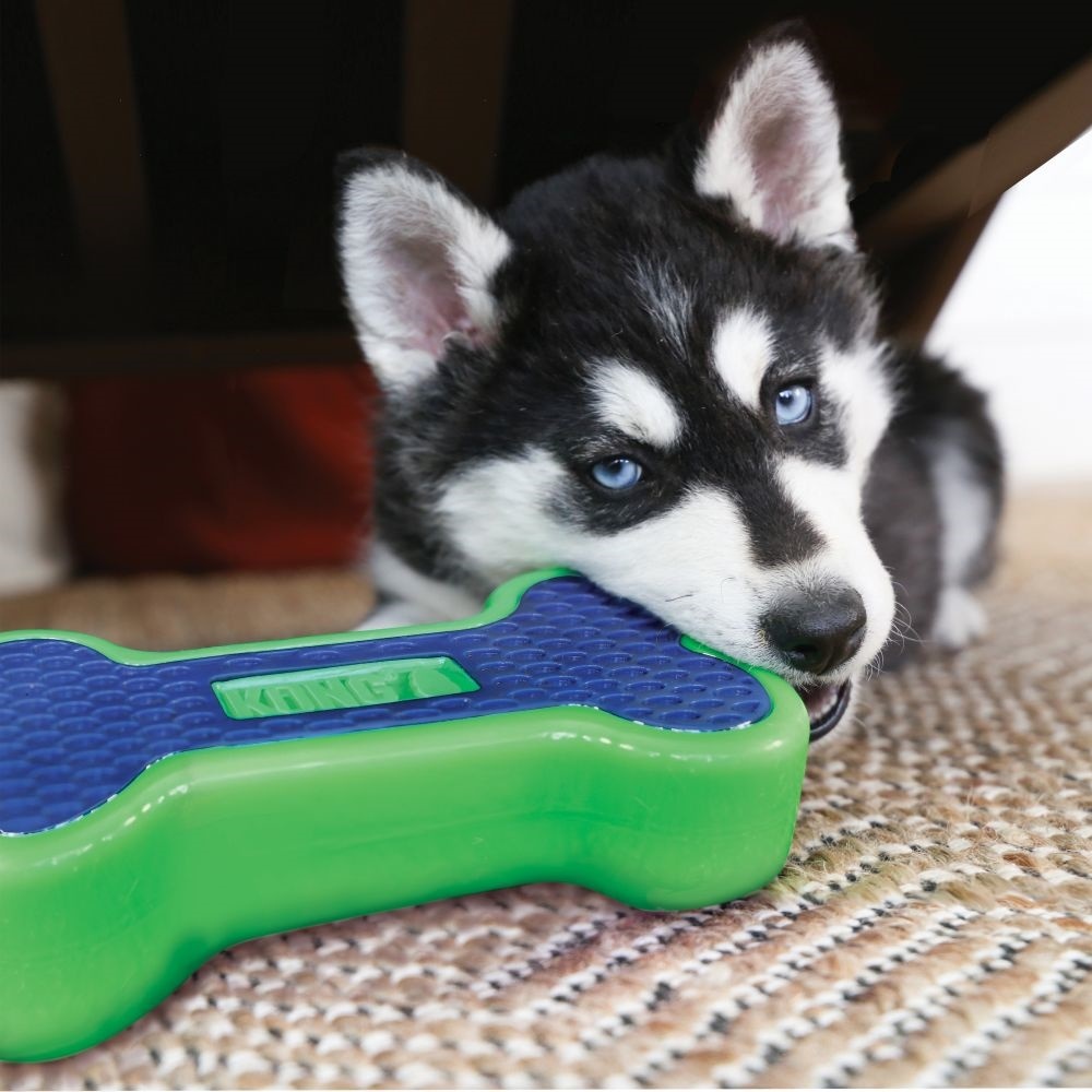 Kong floating dog sales toys