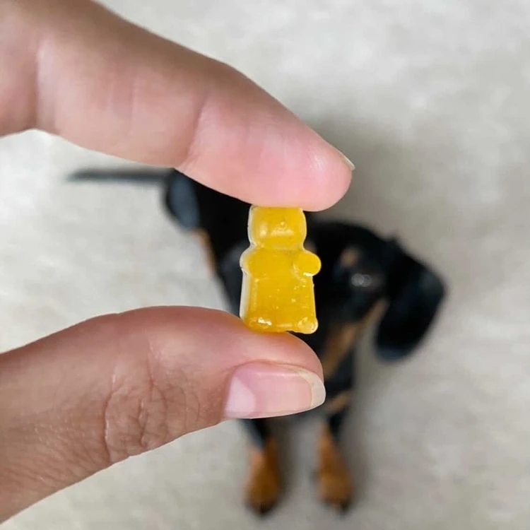 Laila & Me DIY Probiotic Gummi Mix Powder or Gummy Kit for Dogs image 1
