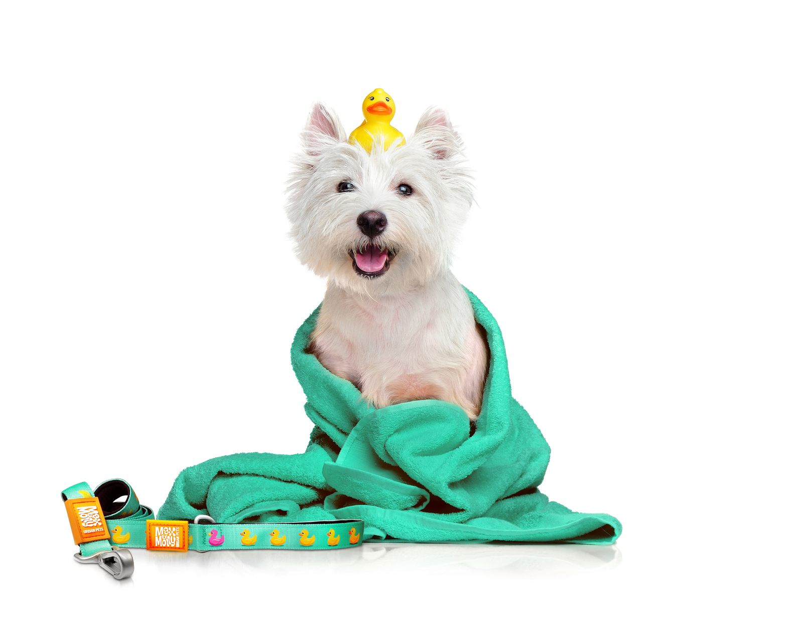 Max & Molly Smart ID Dog Collar - Ducklings image 1