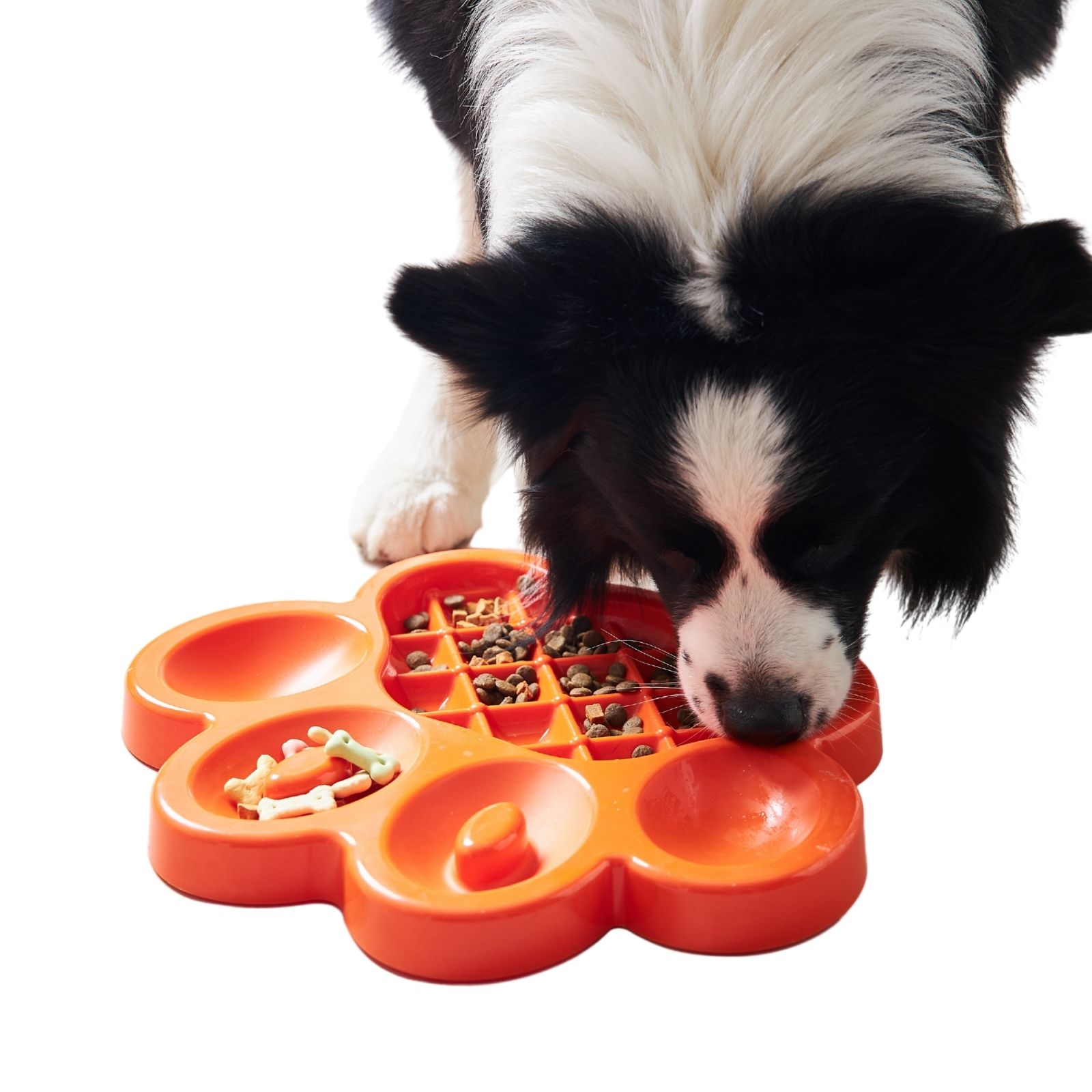 PAW Slow Feeder Wet & Dry Food Bowl for Cats & Dogs Pet DreamHouse