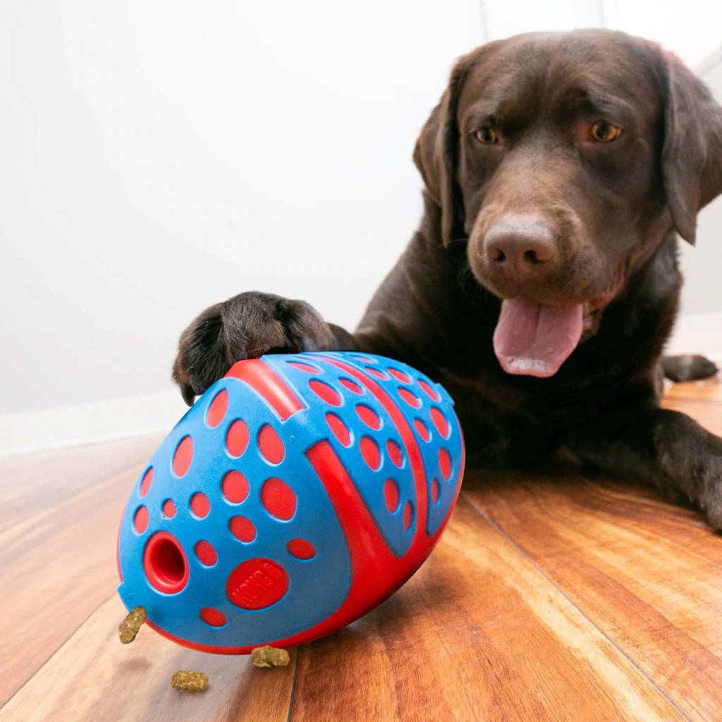 KONG Rewards Wally Interactive Food Dispender for Dog