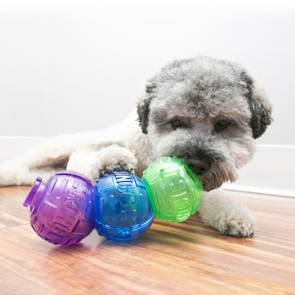Treat lock hotsell toys