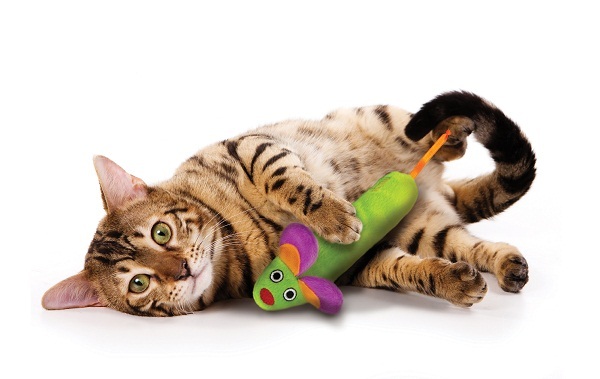 Petstages Green Magic Mightie Mouse Catnip Infused Kickeroo Cat Toy image 1