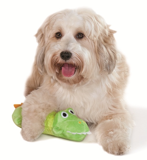 petstages big squeak