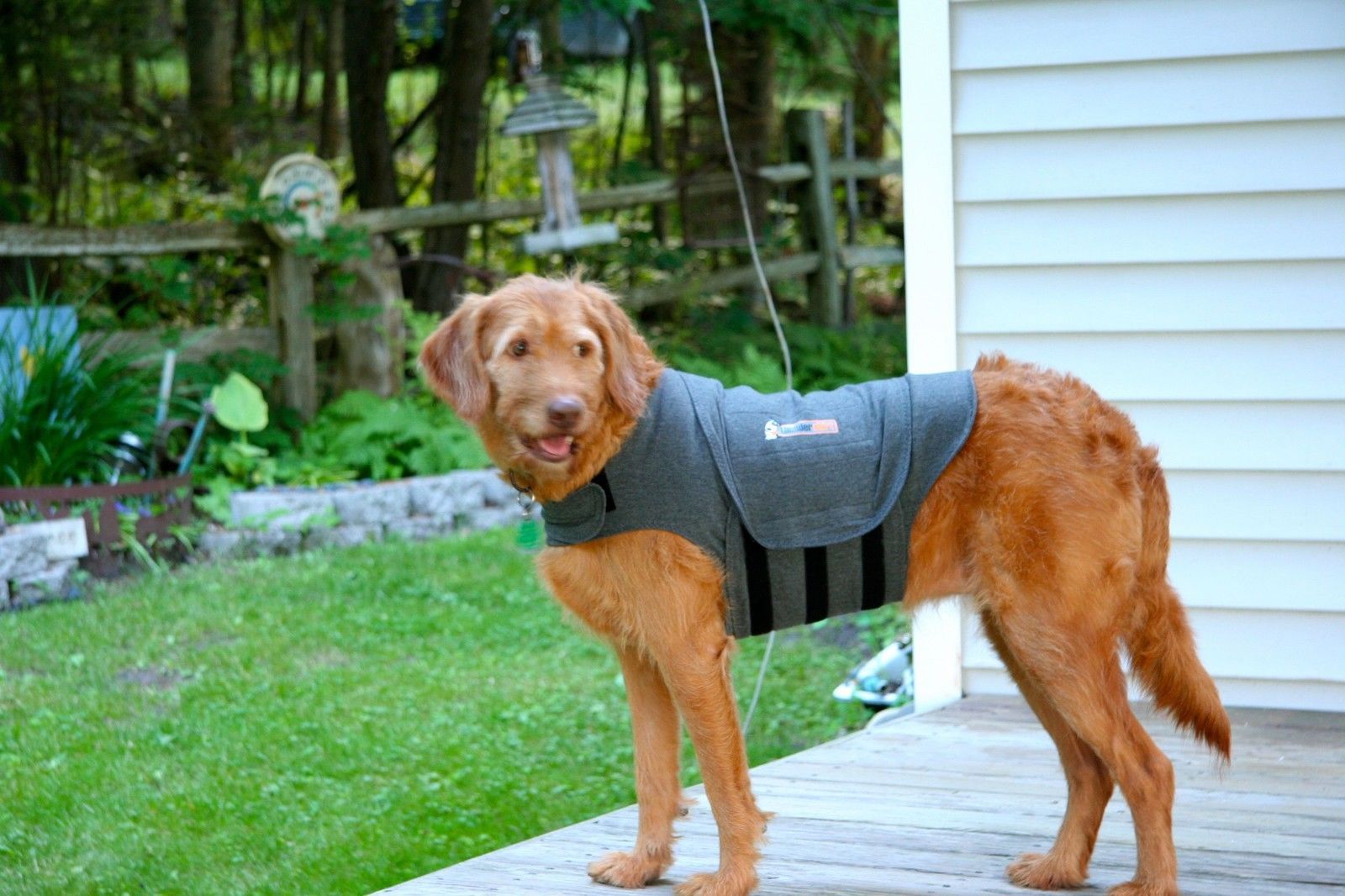 Thundershirt - Anti-Anxiety Calming Vest for Dogs XS-XXL image 1