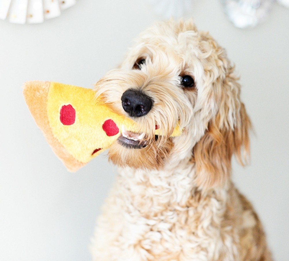 Zippy Paws Squeakie Emojiz Dog Toy - Pizza Slice image 1