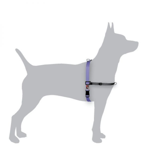 Black Dog Balance Halter - Front & Back Attach Dog Harness image 1