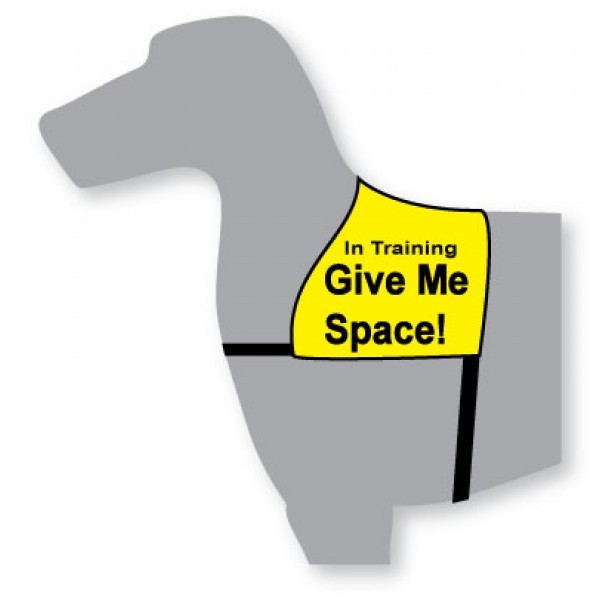 Black Dog "Give Me Space" Awareness Vest for Dogs image 1