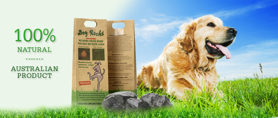 Dog Rocks Natural Lawn Protector - Add to Dog's Water Bowl image 1