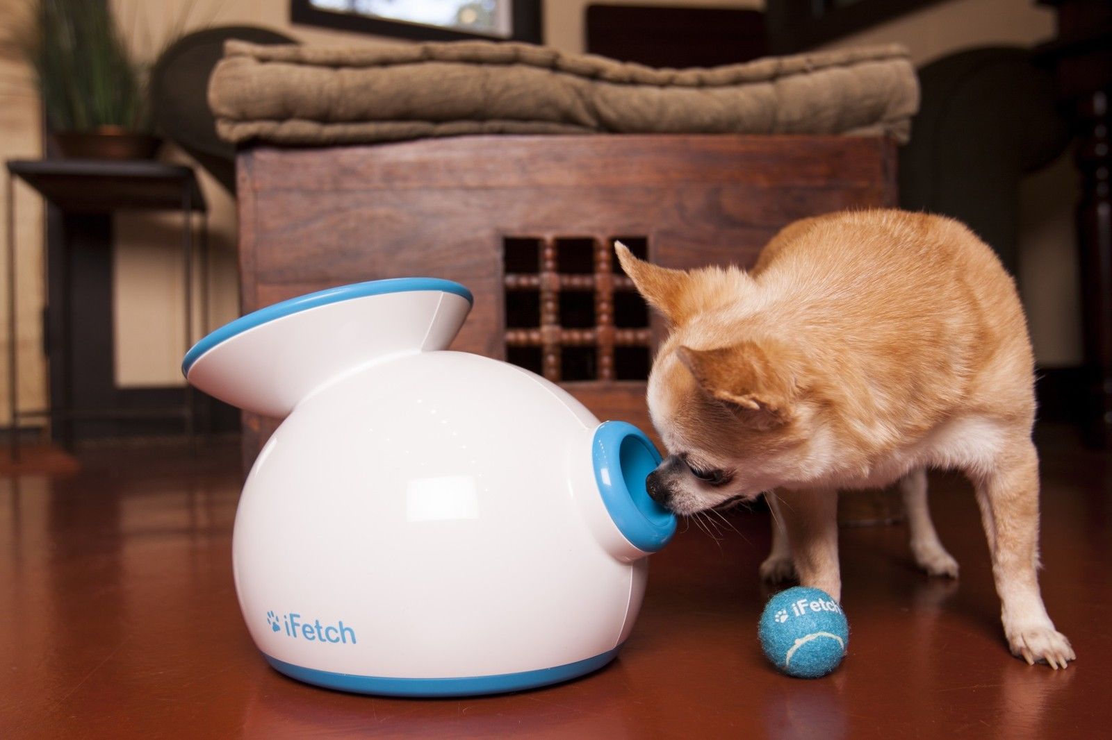 iFetch Interactive Ball Launcher for Dogs