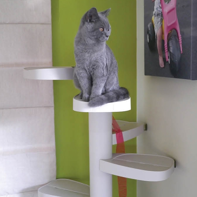 Monkee Tree - The Scalable Cat Climbing Ladder - 3 Branch Kit image 1