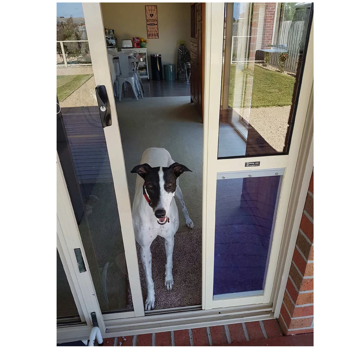 Sliding Glass Dog Doors in Phoenix, AZ - JGM Pet Doors
