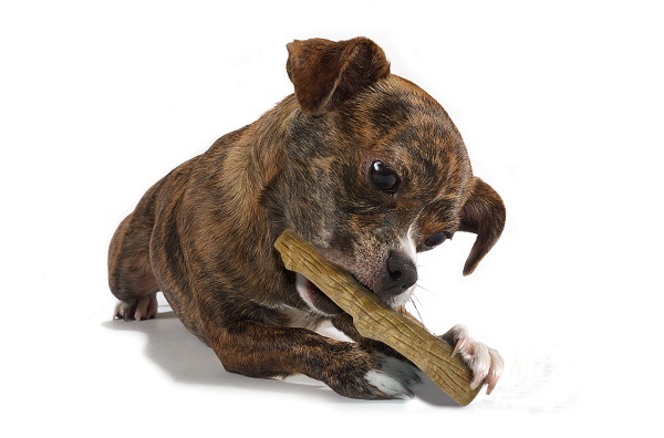 Petstages Durable Dogwood Dog Chew Stick image 1