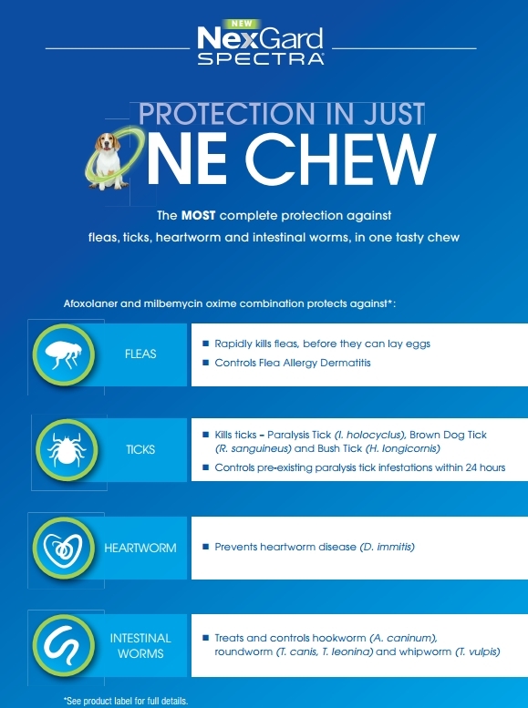Nexgard Spectra All Wormer Chew for Dogs 15.1 30kg