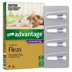 Advantage Spot-On Flea Control Treatment for Cats over 4kg - 4-Pack image 1