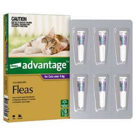 Advantage Spot-On Flea Control Treatment for Cats over 4kg - 6-Pack image 1